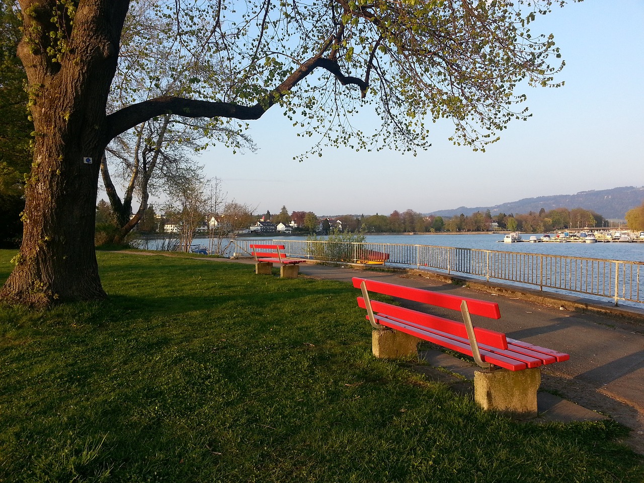 无疑是一个 无疑是一个