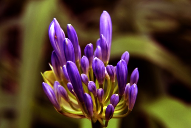 作为一名备 作为一名备