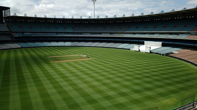 迅速成为了 迅速成为了