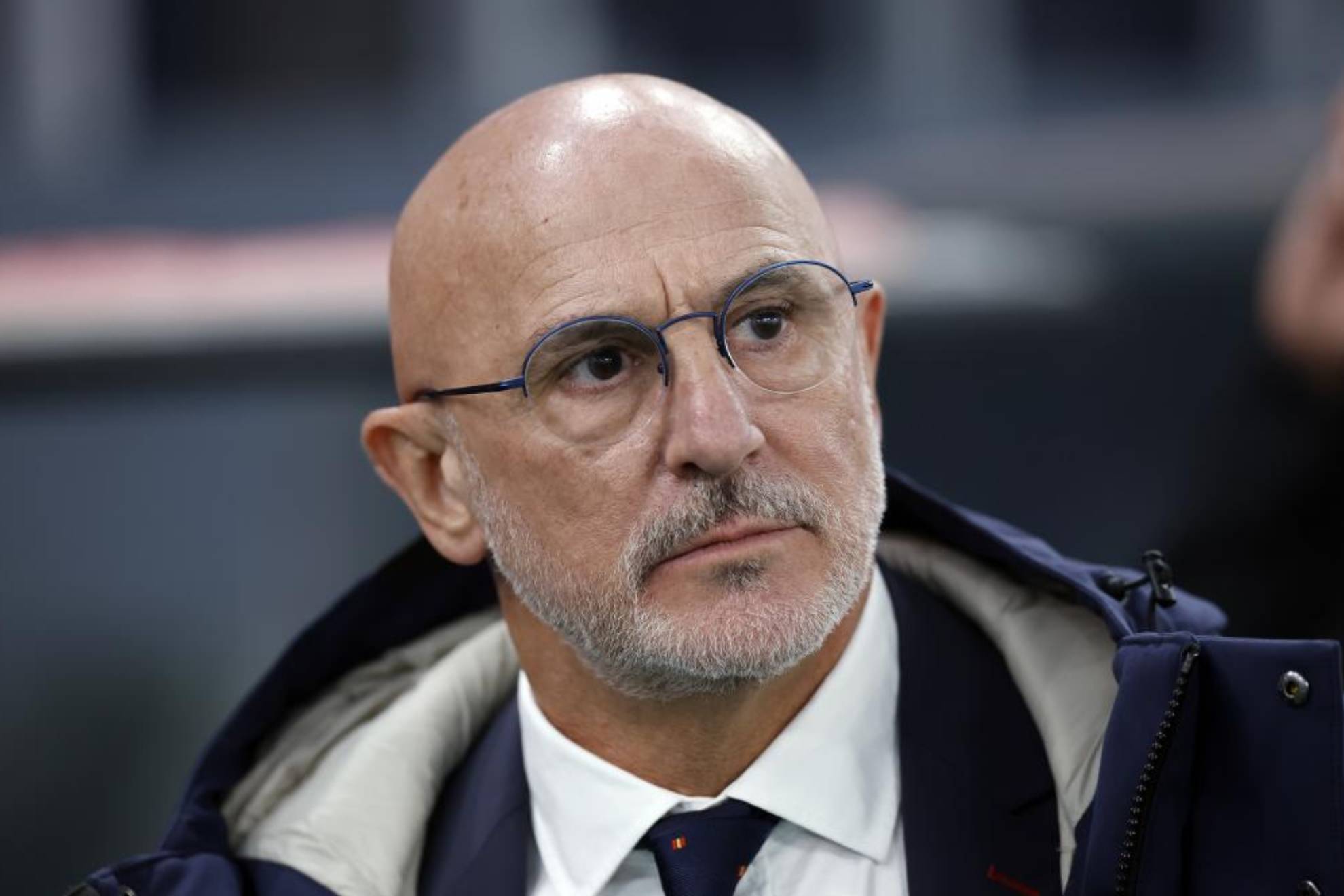 仅展示了兰 仅展示了兰