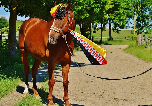 正因如此 正因如此