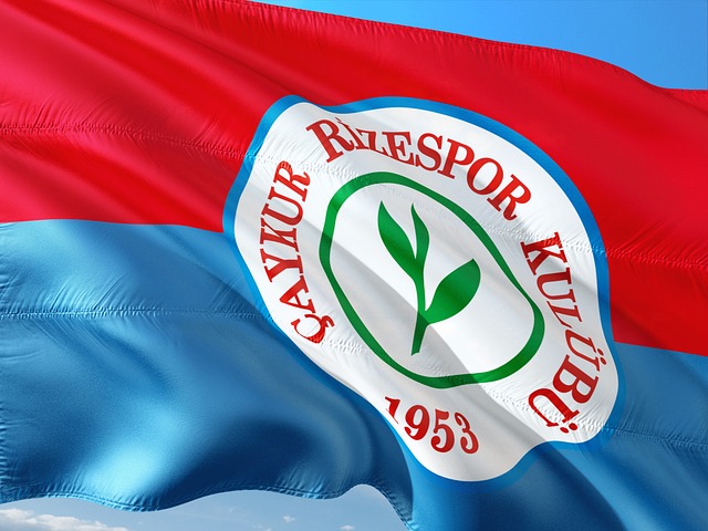 的关键因素 的关键因素