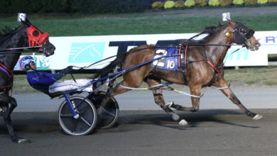 鼓励与期待 鼓励与期待