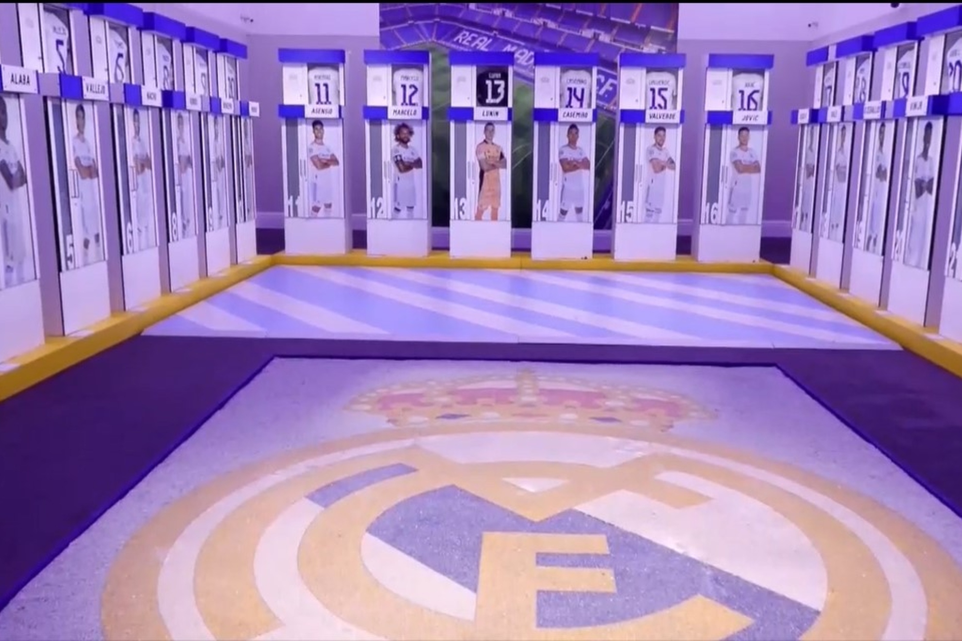 职业生涯的 职业生涯的