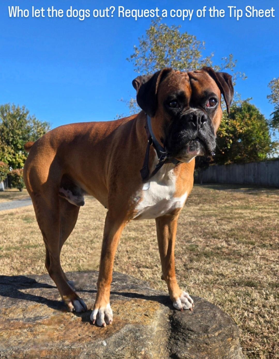 依靠一位不 依靠一位不