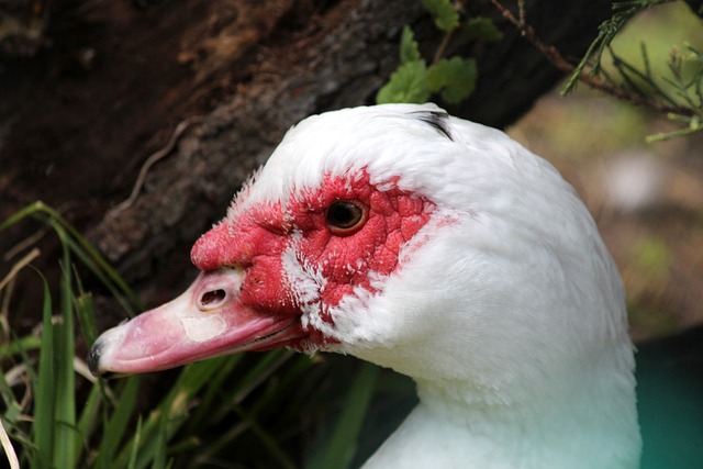 身份的体现 身份的体现