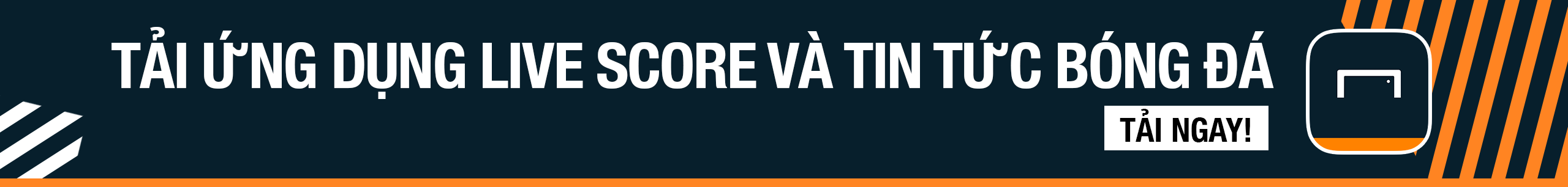 其他類似情 其他類似情
