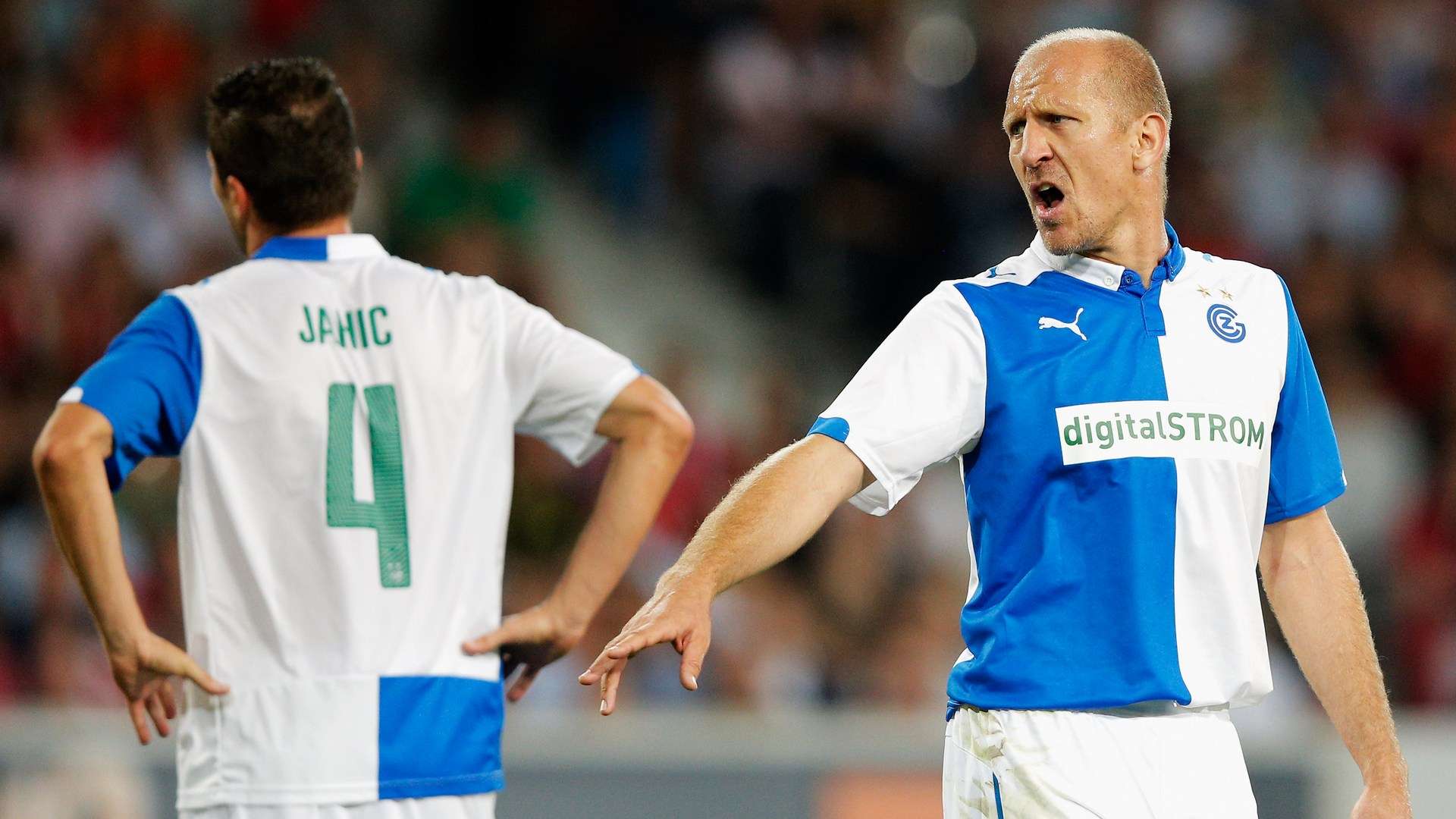 注的山东鲁 注的山东鲁