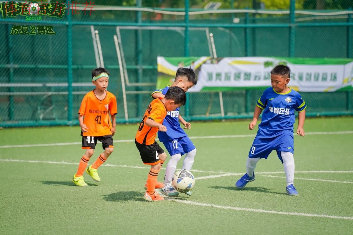 2018年中国足球协会幼儿足球研讨会在京召开